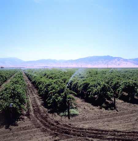 irrigation -rain-Ag100 Irrigation Companies