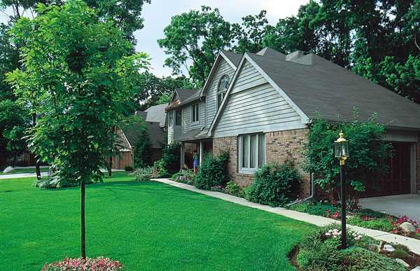 irrigation -rain-HouseBeauty97 Irrigation Companies