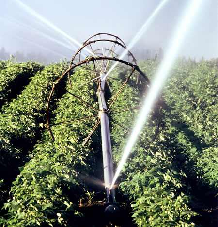 irrigation -rain-Impacts96 Irrigation Companies