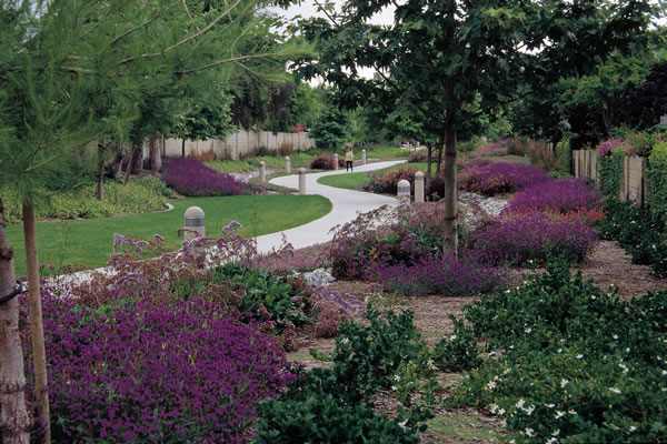 irrigation -rain-Path95 Irrigation Companies