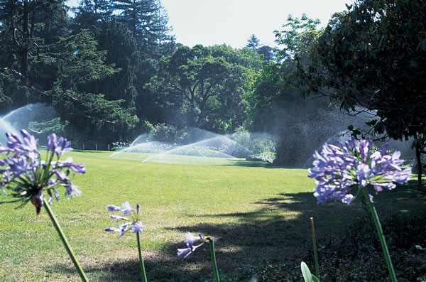 irrigation -rotor-comm_rotor_559 Hunter Irrigation