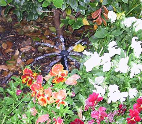 irrigation -sprays-comm_spray_382 Hunter Irrigation