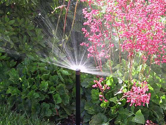 irrigation -sprays-comm_spray_483 Hunter Irrigation