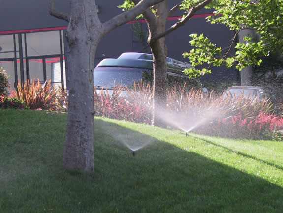 irrigation -sprays-comm_spray_584 Hunter Irrigation