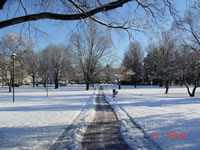 commercial road salting