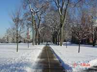 company and government state snow plowing
