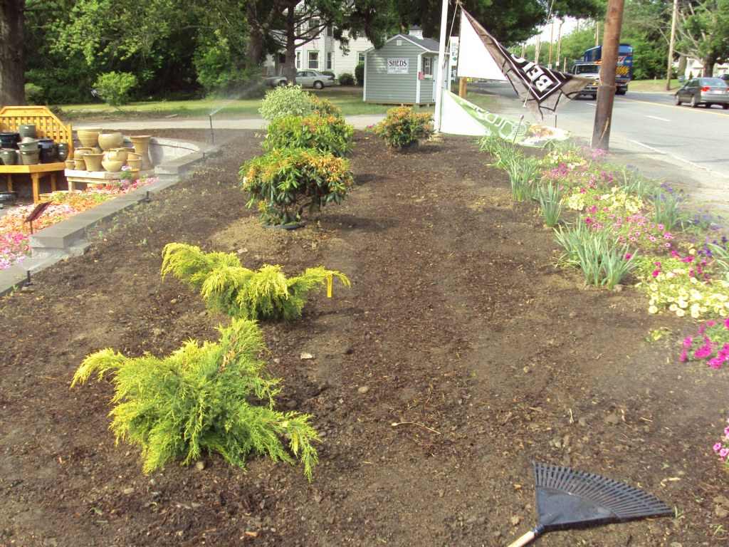 irrigation -09sh8 Irrigation Services