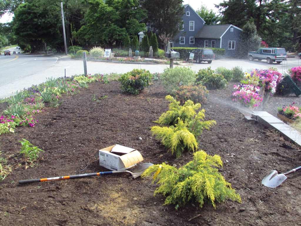 irrigation -09sh9 Irrigation Services