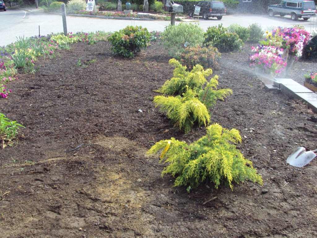 irrigation -09sh10 Irrigation Services