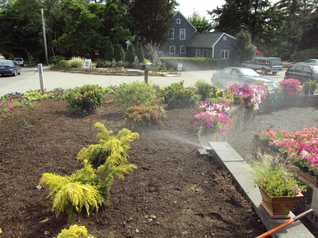 irrigation -09sh11 Irrigation Services