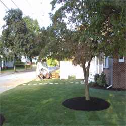 landscaping-night-lighting15